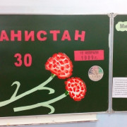 «Афганистан – боль моей души…»