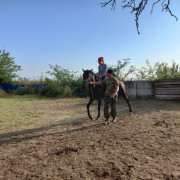 Детские учебно-полевые сборы &quot;Казачья застава&quot;