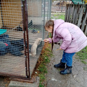 Экскурсия на агроферму &quot;Божья коровка&quot;