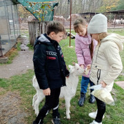 Экскурсия на агроферму &quot;Божья коровка&quot;
