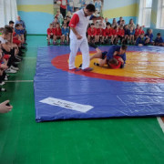 Открытые соревнования муниципального по самбо среди юношей и девушек