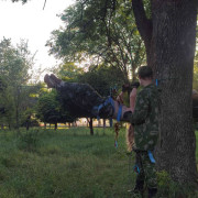 &quot;Русичи&quot; сдают зачеты