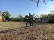  Детские учебно-полевые сборы &quot;Казачья застава&quot;