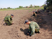  Детские учебно-полевые сборы &quot;Казачья застава&quot;